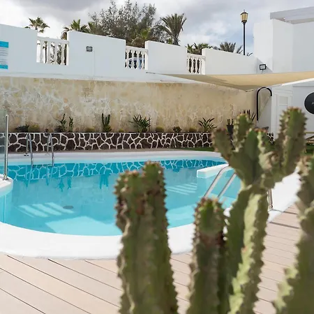 Livvo Galera * コラレホ